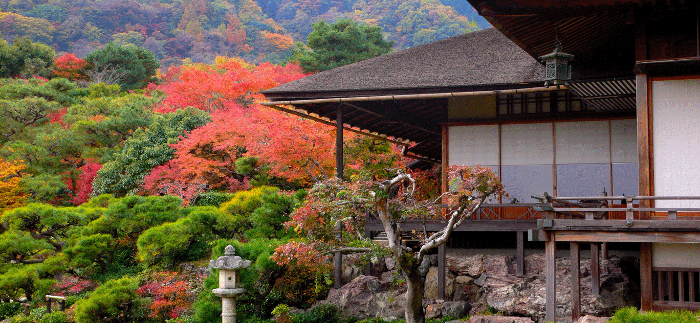 Five unique Japanese traditions in autumn - Gengo